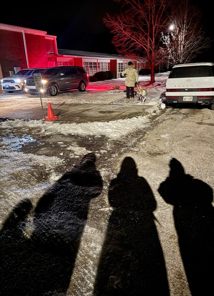 The current image has no alternative text. The file name is: img_2715-1.jpg